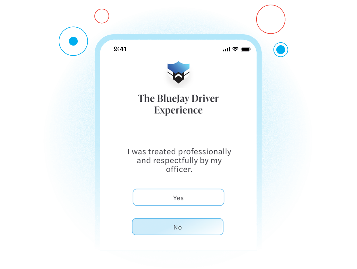 Bluejay identity confirmation